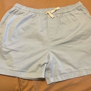 Men’s Chubbies 5.5 in Shorts